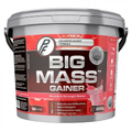 Proteinfabrikken - Big Mass Gainer 3000 g, Jordbær