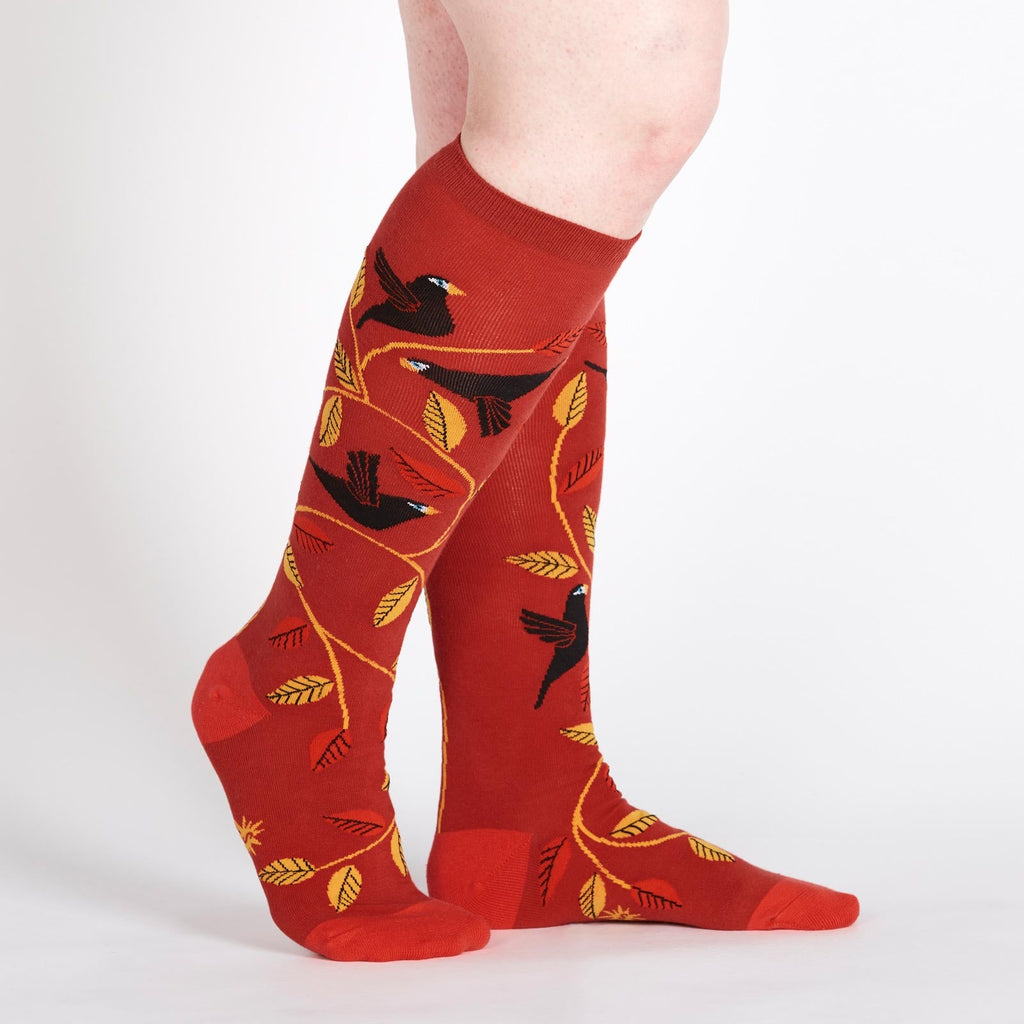 Knee High Funky - Darling Starlings - Flexfit