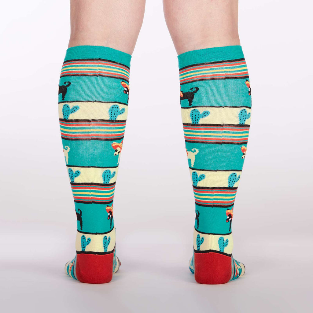 Knee High Funky - Yo Quiero Sombrero - Flexfit